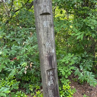 大分市の最高峰です♪⛰️