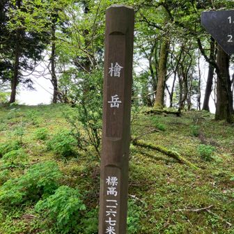 檜岳山頂
前は雪布団だったベンチが、今回は樹木に占領されてました。ランチはお預け…