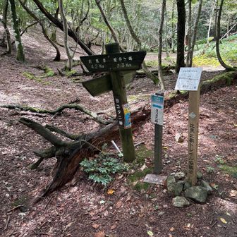 ヨコタニ峠
