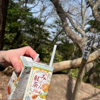 ファディのみかん紅茶で乾杯🥂
ありがとう♡