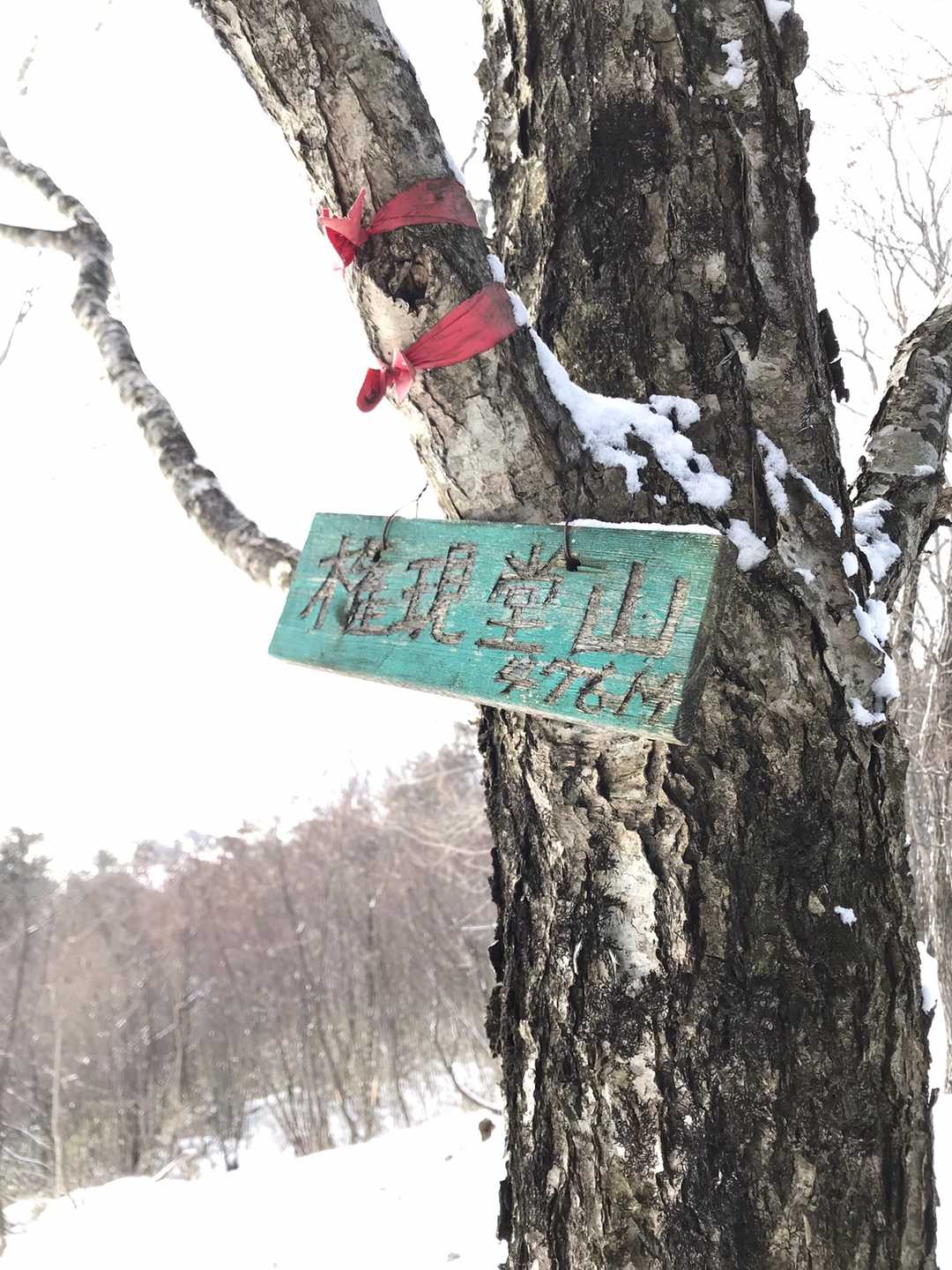 権現堂山です🏔