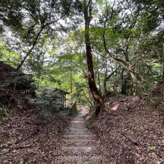 神社横に出て下山完了です