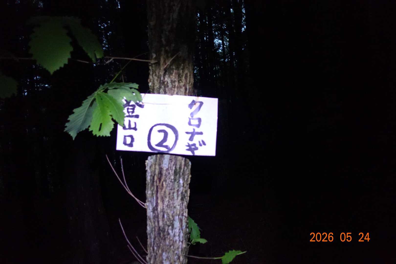 数字は山頂が　30