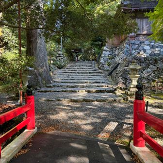 久々のこの橋