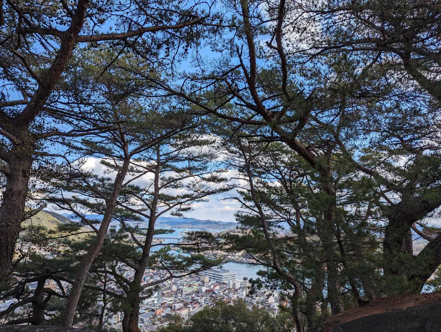 千光寺山ロープウェイ 山麓駅-千光寺-千光寺山 往復コースの写真