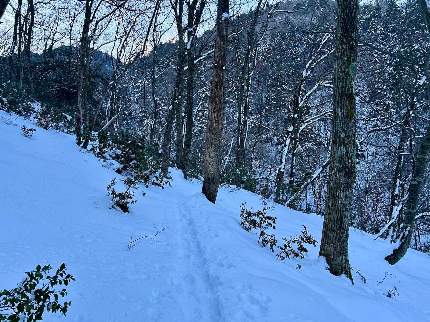 初めはそこまで積もってなかった