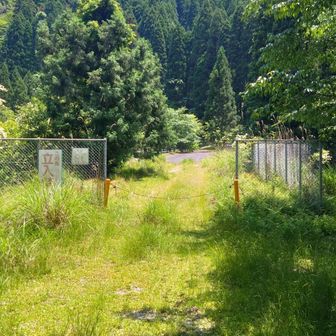 ここ通過しないと行けませんが、通行止め🚧の看板。