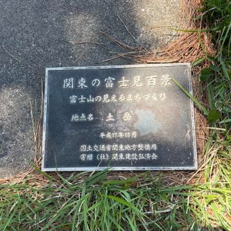 山頂にこんな表示も🫢