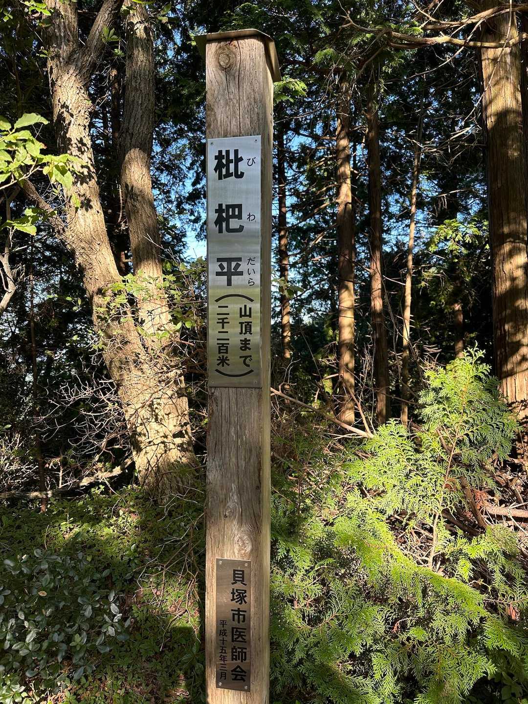 枇杷平、昔、枇杷の木があったのかな？