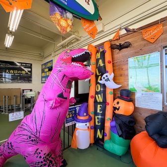 ケーブル乗り場はハロウィン仕様。名前聞かれて、レースにまあちゃんザウルスで出したから、そう答えました🤣
