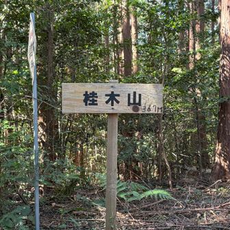 桂木山山頂