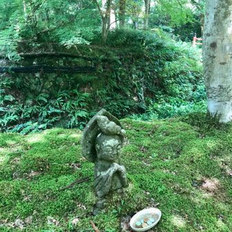 へなちょこクライマー