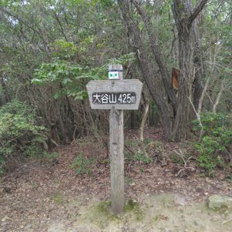 大谷山山頂🙋弥勒山へ🚶🥾
👻ミヤマウズラの道へ👻