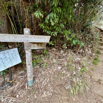 景信山は今回のテーマである裏高尾ではないけど（北高尾か奥高尾に分類される気がする）、久しぶりに登りたくなったのでおまけで💪