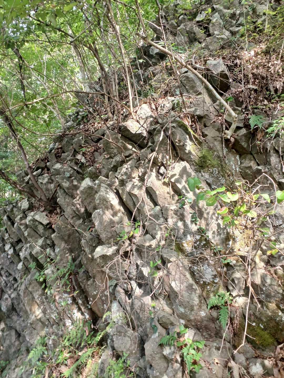 左右分岐あたりには、見事な柱状節理の大岩が点在する。山間部に富士山🗻みたいに
盛り上がったこの山が、硬い溶岩のカタマリだと分かる🤔