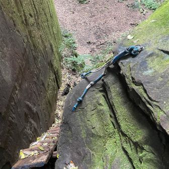 ここに立つともうヒンヤリする
像の墓場への入り口