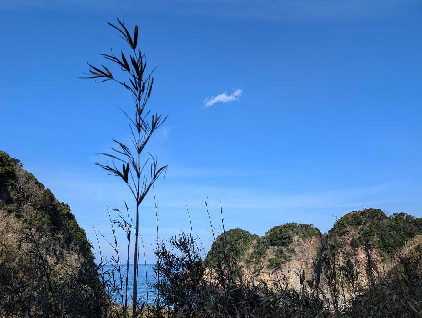 大崎城登山道入口-城山-北野天満宮 往復コースの写真