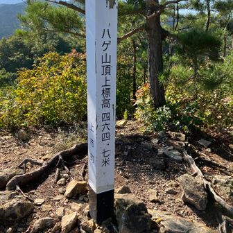 ハゲ山です。
なんでハゲなのか、よく分からない。