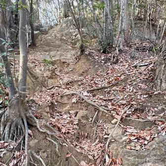 ガシガシ小岩登り。結構心拍数あがります。