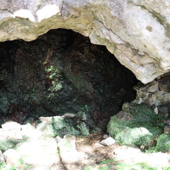 洞窟っぽいところから水が染み出しています。