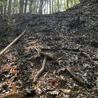 斜面真っ直ぐよじ登るのかよ…😅