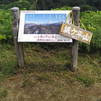 とりあえず、証拠写真を1枚