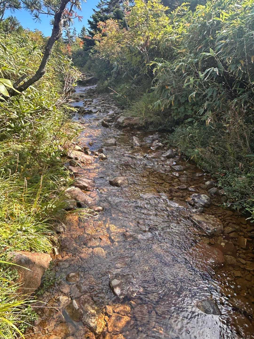 ほんとに川でした😳