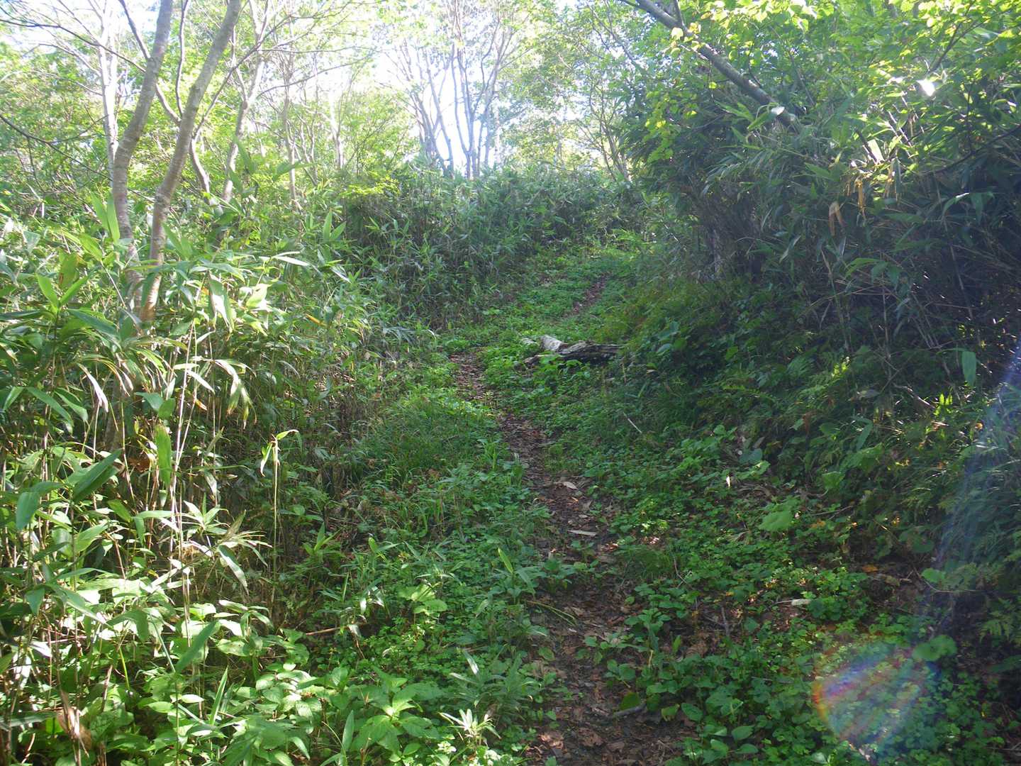 当丸山登山道