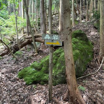御神体に登っちゃう。