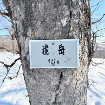 標識は枝に特徴ある木に取り付けられてます