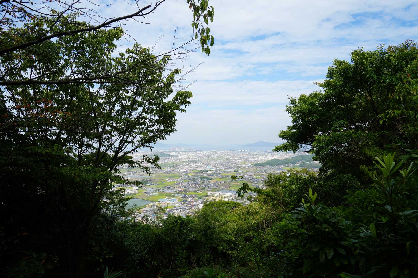 飯野山 往復コースの写真