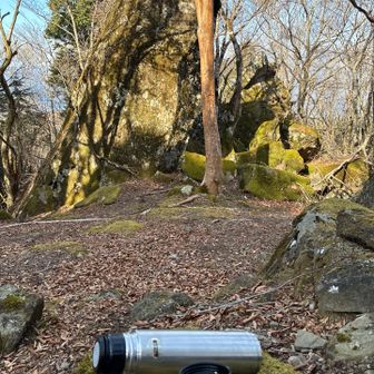 何時もの桑茶（笑）😁