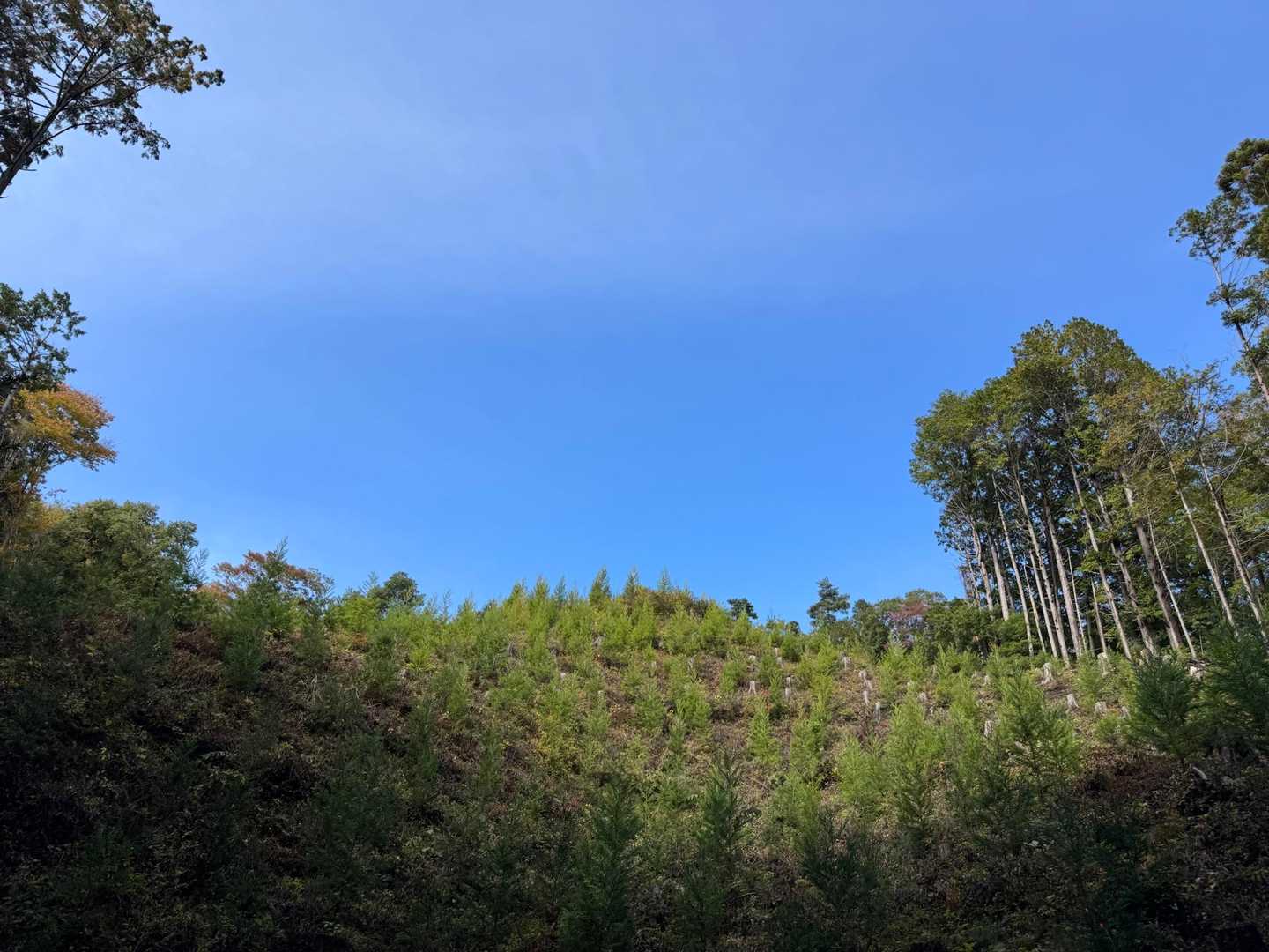 青空🟦