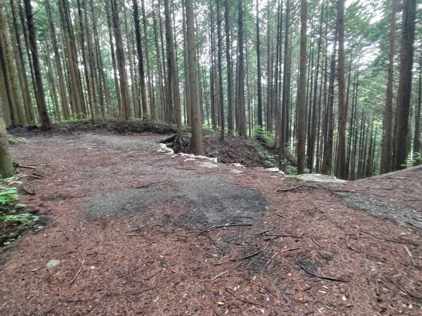 ここは真ん中を行きます