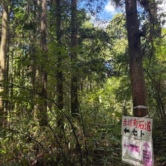 青崩道へ⬅️