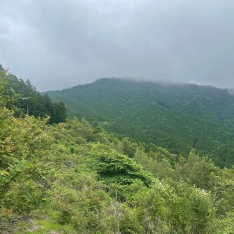 目指す不老山ですね