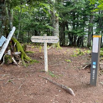 櫛形山山頂