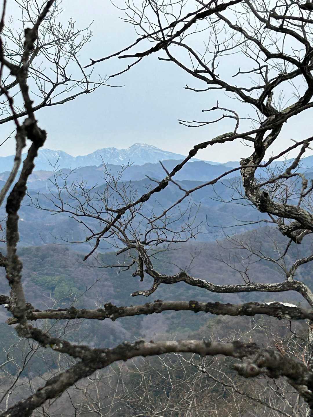 雷電山登山口-雷電山-鳩ノ峰-富士見山 周回コースの写真