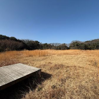 烽火台山に到着🙌🏼