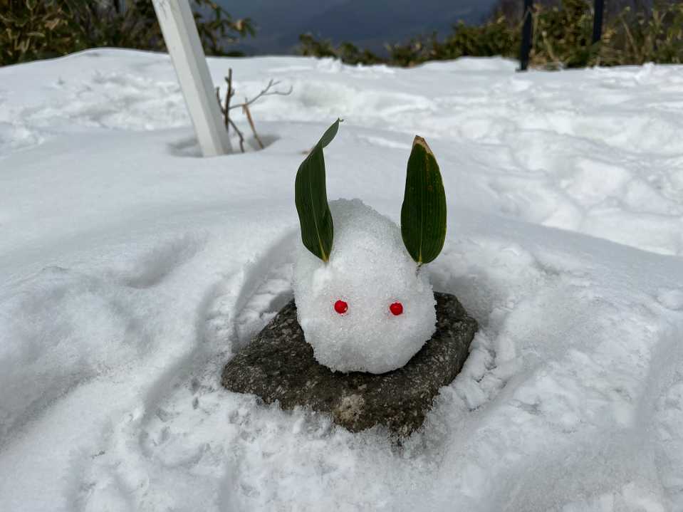 本日の雪うさぎ
雪がザラザラで固まらないので、雪の塊から削り出しました😊