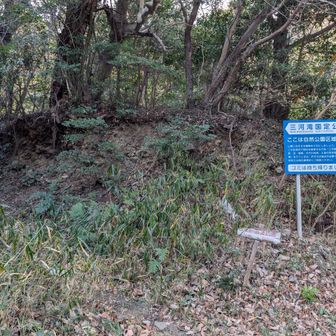 登山口
登山口は少し荒れ気味で不安になる