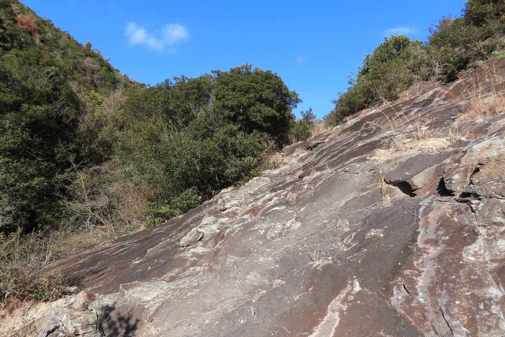 変化に富んだ登山道で面白い。