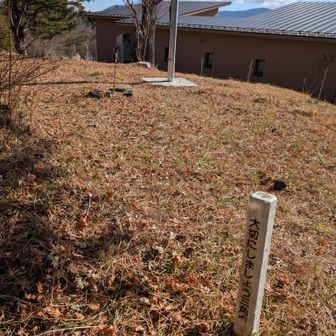 大出山はホテルの敷地内？
山頂はこの辺り△