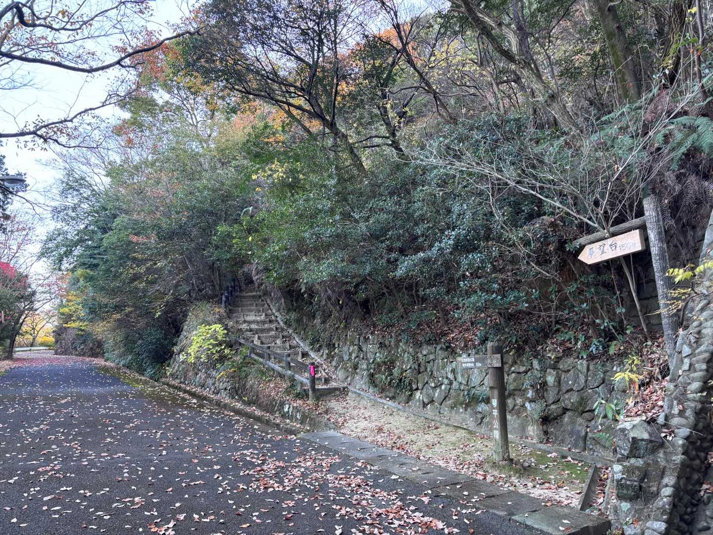 この階段を上りました。
が、いろんな道が整備されてて正解がわからないです💦