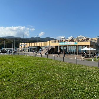 道の駅大谷海岸からスタート