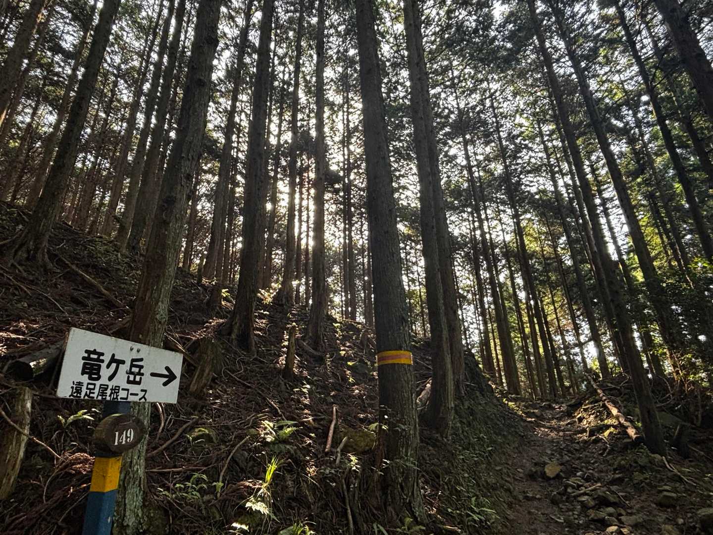 遠足尾根コースからGO👊🏻
ぜんぜん遠足っぽくない急登の道😅