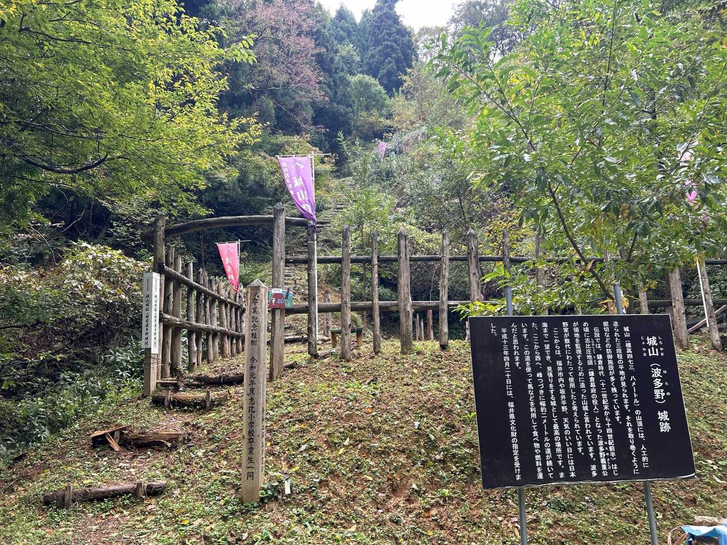 ここから登山道