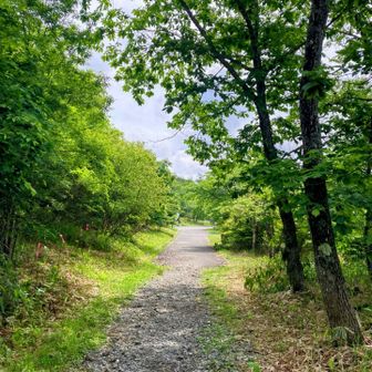 登山口に到着❢
次は天女山へ行きます🤭