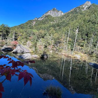 こちらは、ニ之池で日本庭園のように美しい🤩
･:*+.\(( °ω° ))/.:+
素敵な明神池でした〜😊