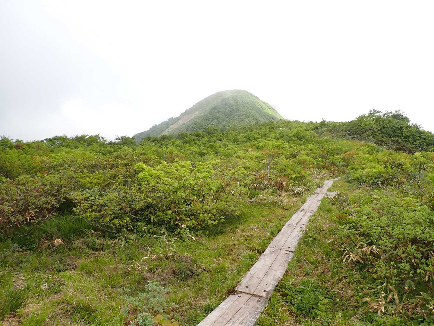 葉山登山口-畑登山口-休憩地-大僧森-葉山-葉山神社奥の院 周回コースの写真